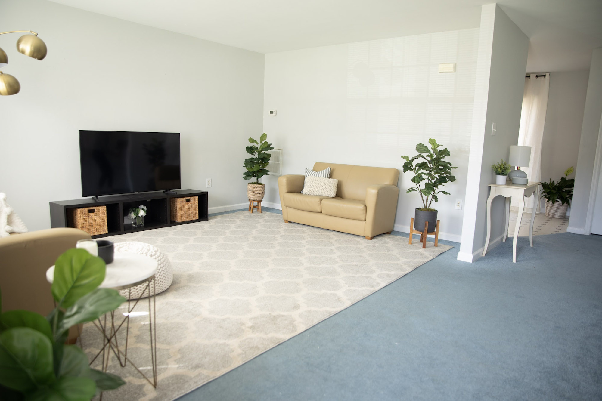 Carriage townhouses living room