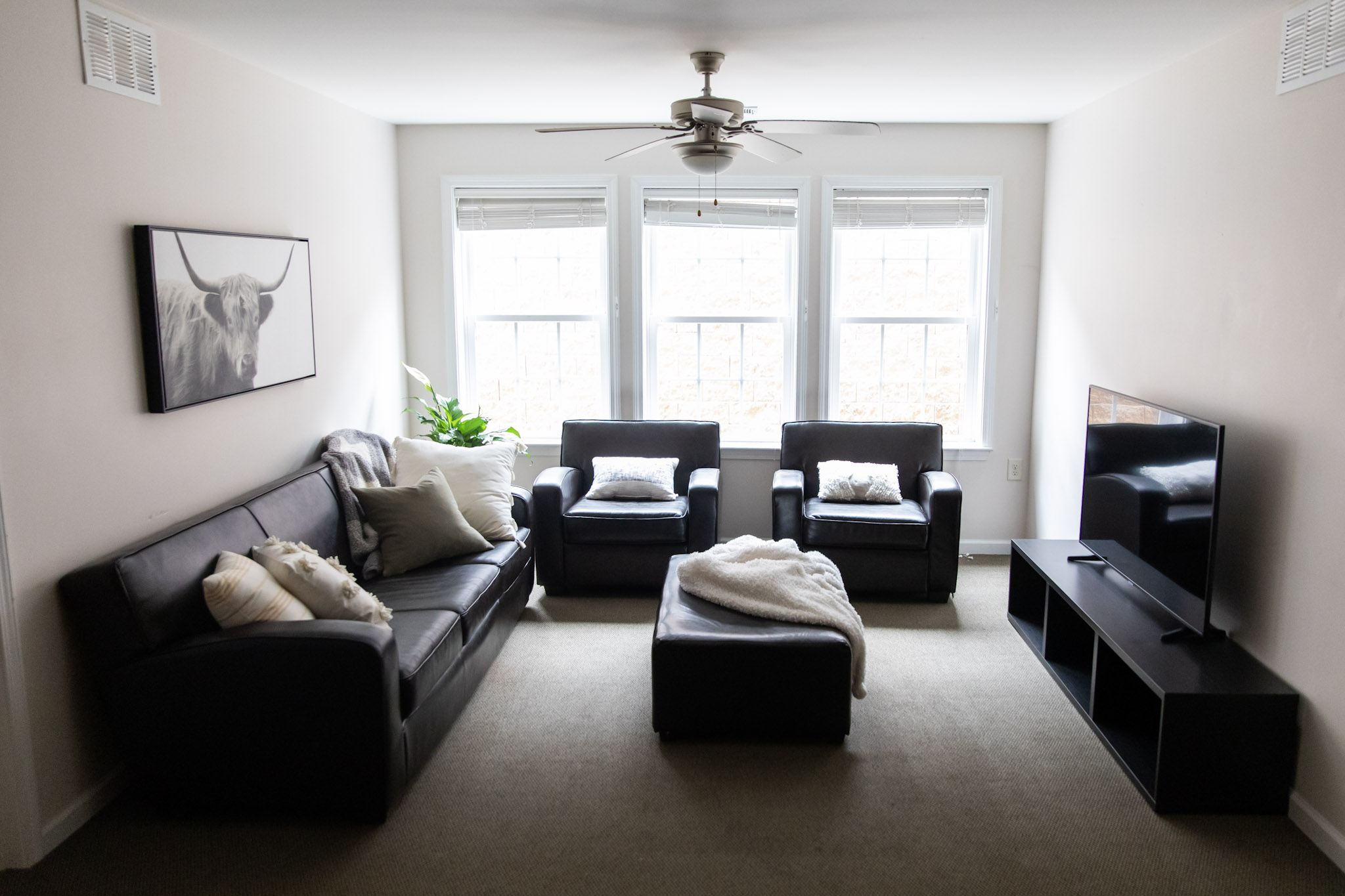 Walnut Apartments living room