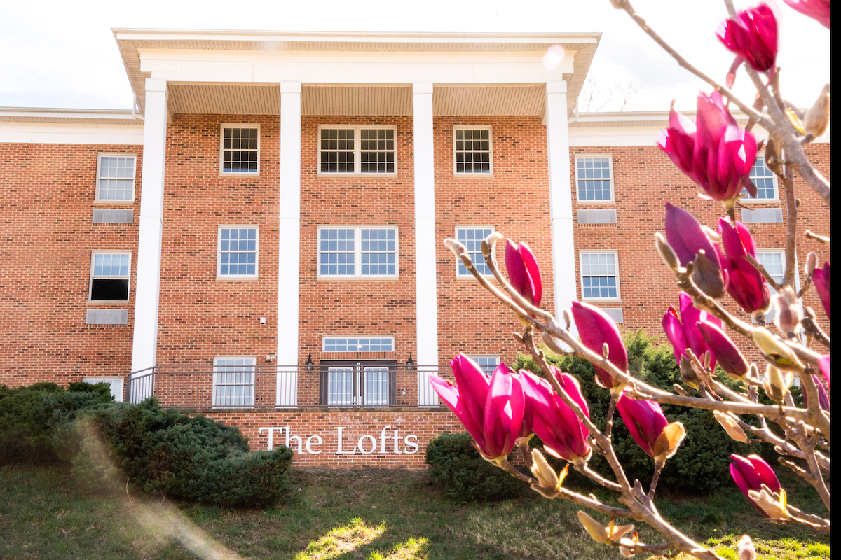 The Lofts