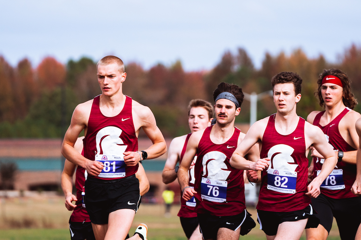 Men's cross country race